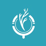 Барнаул "Флебоклиник"