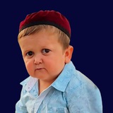 The Only Official Hasabulla Meme $HASA