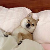 HANA - Shib's real name