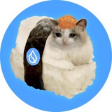 Suishicat Portal