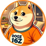 DOGE16Z | ENTRY