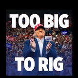 TOO BIG TO RIG
