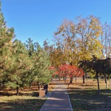 Вкусно, красиво 💜 Мариуполь