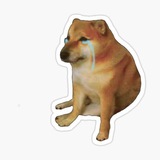 SAD DOGE (CTO)