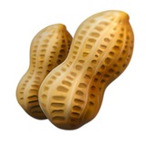 Nut Inu -Making crypto fun again