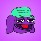 Purple Andy CTO