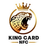 KingCardNFC国王远程刷卡