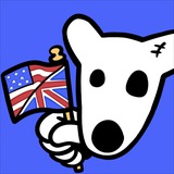 DOGS Community Chat (Eng)
