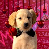 dogwifrose | $WIFROSE