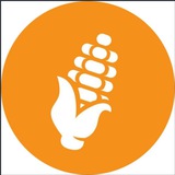 BITCORN CTO - PORTAL