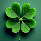 Lucky Buy 🍀