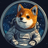 Asteroid Shiba | Entry