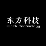 东方科技|网站搭建|平台搭建|TikTok商城