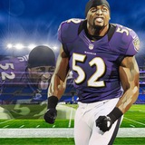 OFFICIAL RAY LEWIS FIT COIN PORTAL