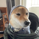 $KOBE Inu CTO