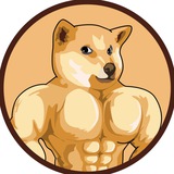 Buff Neiro Portal