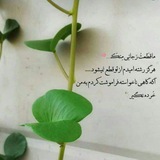 ߊ‌ܩࡅ࡙ܥ‌‌ߊ‌ࡅ߭ܘ💚