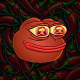 Portal | RedPEPEr | CTO