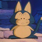 PUAR