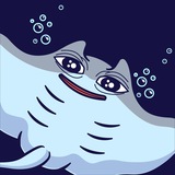 $RAY Token