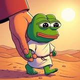🐸P2C | Flood🐸