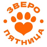 ЗвероЧат