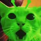 AAHH l THE CATLIEN