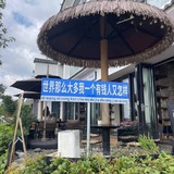 公群596 富贵支付宝im 上压500u