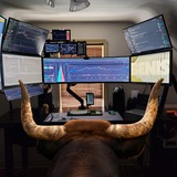 Point of Bull