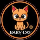 Baby Cat | Low Tax | Auto Burn //CrazyCatDev |LP BURN