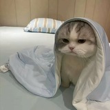 白夜端口交流群