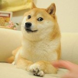 TRON DOGE