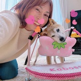 Atsuko Sato | Mother Of Doge
