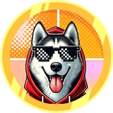 HUSKY PUMP