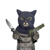 CrimeCat $RICA CTO