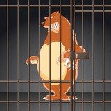 Jail This Bear $JTB Community