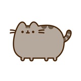 Pusheen channel