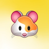 Хомячок 🐹