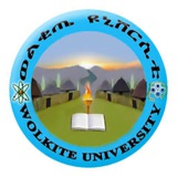 Welkite University Info Center