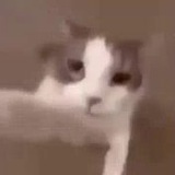 Mwah portal 😽