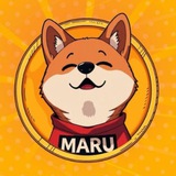 MARU CTO - Portal