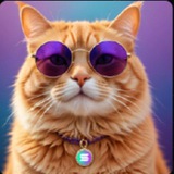 SolanaCat CTO Portal