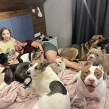 Лютый собачник 🐾