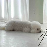 LOAF | ETH PORTAL