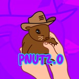 PNUT2.0 🐿 - PEANUT THE SQUIRREL - $PNUT2.0 #PNUT2