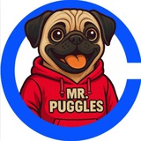 Mr Puggles