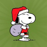 Snoopy CTO Portal