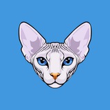 Mr. bigglesworth $BIGGLES | CTO