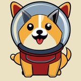 DogeUchuuhikoushi (宇宙飛行士)