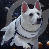 Grok's Dog